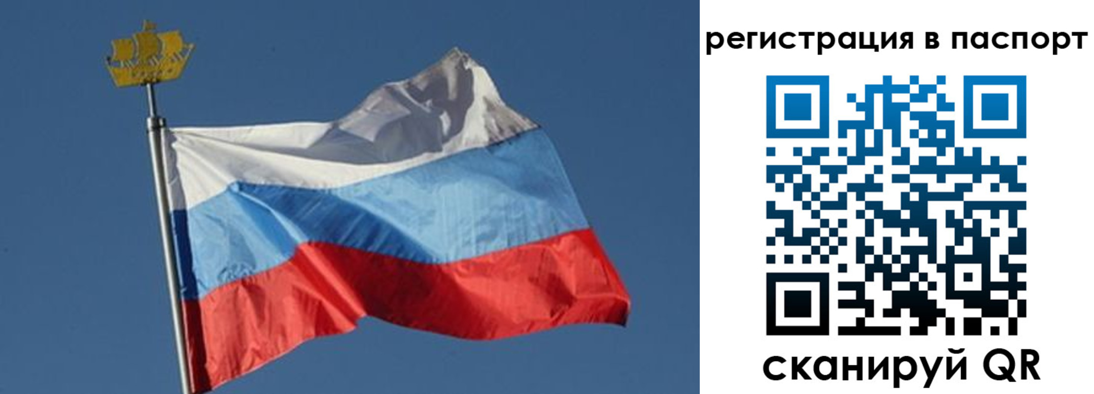 временная регистрация законно в Тайшете